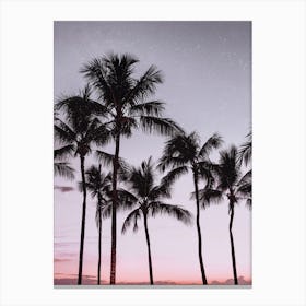 Palm Tree Sunsets Canvas Print