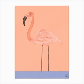 Flamingo With Orange Canvas Print