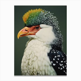 Ohara Koson Inspired Bird Painting Crested Caracara 1 Canvas Print