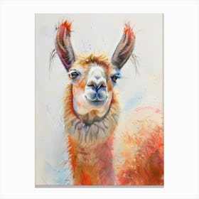 Llama Pastel Watercolour 1 Canvas Print