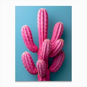 pink cactus ii Canvas Print