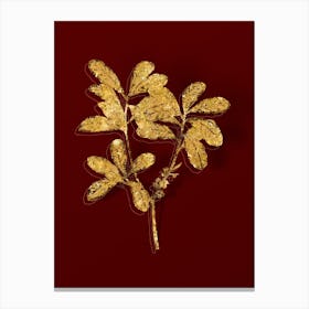 Vintage Northern Bayberry Botanical in Gold on Red n.0257 Canvas Print