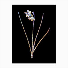 Stained Glass Narcissus Odorus Mosaic Botanical Illustration on Black Canvas Print