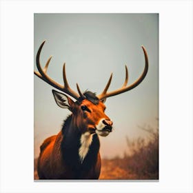 Deer Head 7 Canvas Print