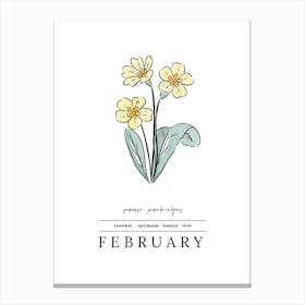 February Primrose Birth Flower 2 Canvas Print