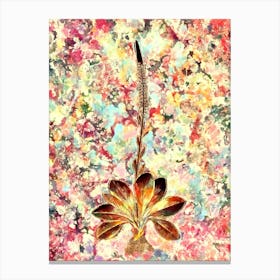 Impressionist Blazing Star Botanical Painting in Blush Pink and Gold Canvas Print