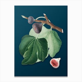 Vintage Black Fig Botanical Art on Teal Blue n.0406 Canvas Print