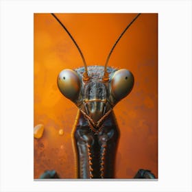 Praying Mantis Canvas Print