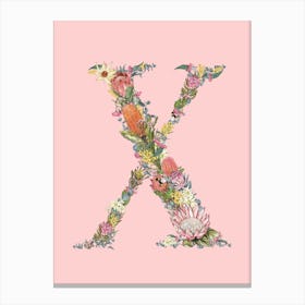 X Pink Alphabet Letter Canvas Print