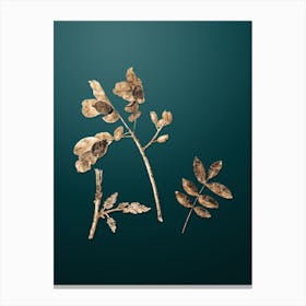 Gold Botanical Pistachio on Dark Teal n.0934 Canvas Print