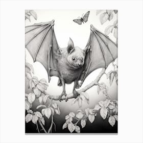 Botanical Fruit Bat Illustration 3 Canvas Print