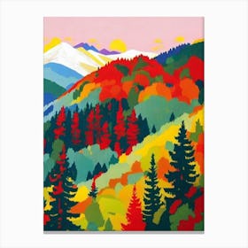 Tatra National Park 1 Poland Abstract Colourful Canvas Print