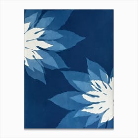 Blue cyanotype leaf print Canvas Print