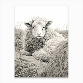 Black & White Illustration Of Highland Sheep In The Straw 2 Canvas Print