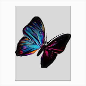 Butterfly Canvas Print