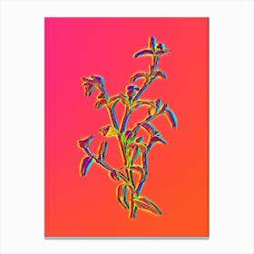 Neon Commelina Africana Botanical in Hot Pink and Electric Blue Canvas Print