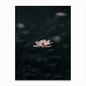 Dark Flower 33 Canvas Print