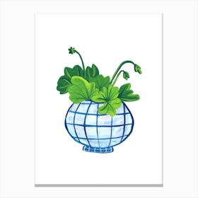 Geranium Plant Canvas Print