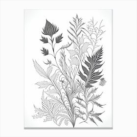 Henna Herb William Morris Inspired Line Drawing 2 Canvas Print