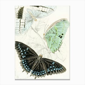 Vintage Butterflies In Flight 2 Canvas Print