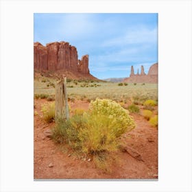 Monument Valley XIV on Film Canvas Print