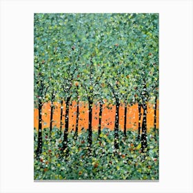 Birch Trees 1 Canvas Print