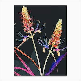 Neon Flowers On Black Prairie Clover 2 Canvas Print