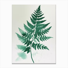 Green Ink Painting Of A Soft Shield Fern 2 Canvas Print