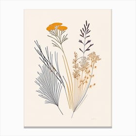 Caraway Spices And Herbs Minimal Line Drawing 4 Canvas Print