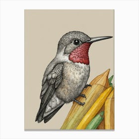 Hummingbird 37 Canvas Print