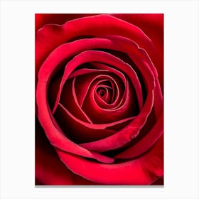 Red Rose 3 Canvas Print