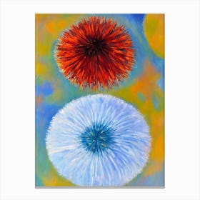Sea Urchin Matisse Inspired Canvas Print