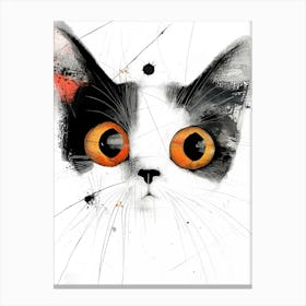 Cat With Orange Eyes 1 Canvas Print