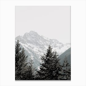 Forest And Peaks Canvas Print