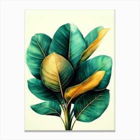 Green Leaves On A White Background Canvas Print