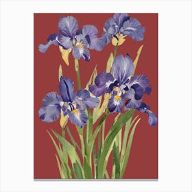 Iris Painting 2 Canvas Print