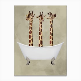 Giraffes In Bathtub Canvas Print