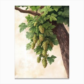 Hops On A Tree Canvas Print