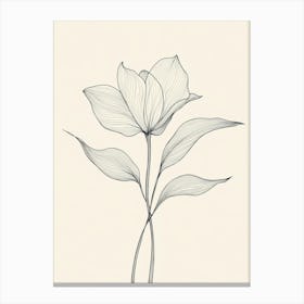 Tulip 3 Canvas Print