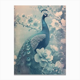 Vintage Cyanotype Inspired Peacock With Blossom 2 Canvas Print