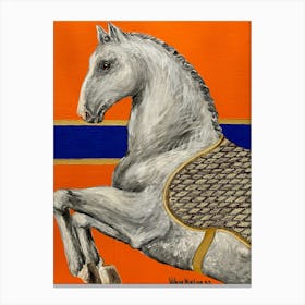 Grey Horse Canvas Print