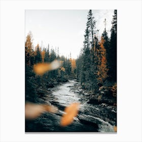 Wild rivers and forests Canvas Print
