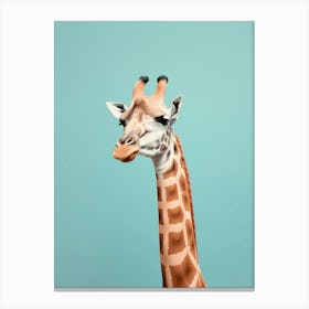 Giraffe 1 Canvas Print