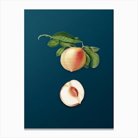 Vintage Peach Botanical Art on Teal Blue n.0499 Canvas Print