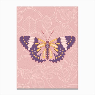 Butterfly In Pink Background From Rose Canvas Print