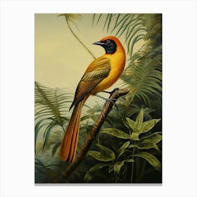 Aerial Splendor: Wilson's Bird-of-Paradise Print Canvas Print