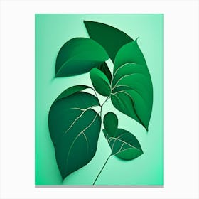 Mint Leaf Vibrant Inspired 1 Canvas Print