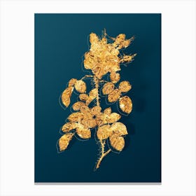 Vintage Four Seasons Rose in Bloom Botanical in Gold on Teal Blue Canvas Print