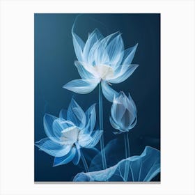 Lotus Flower 11 Canvas Print