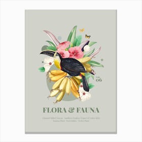 Flora & Fauna with Toucan Canvas Print